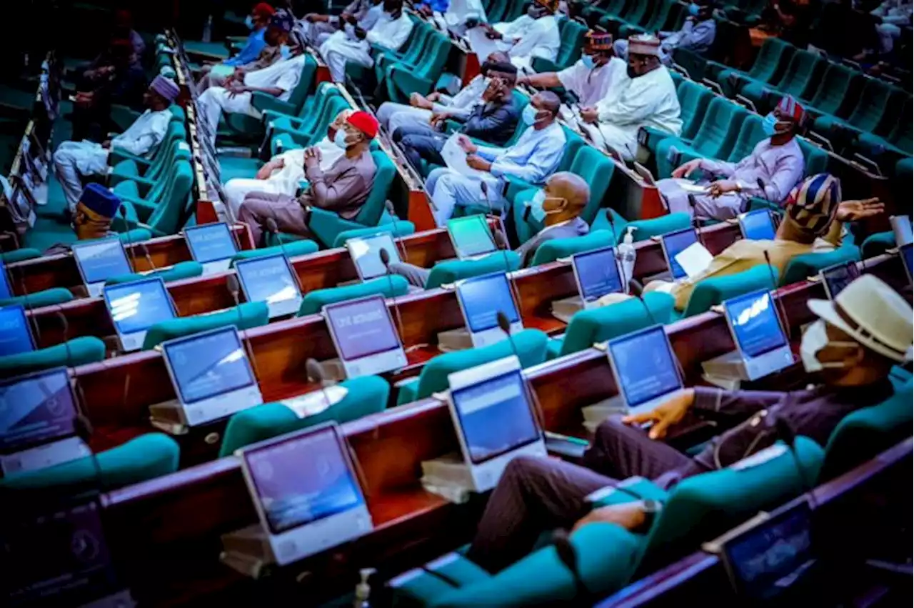 Reps panel rejects foreign affairs ministry’s 2023 budget over ‘violation of appropriation law’ | TheCable