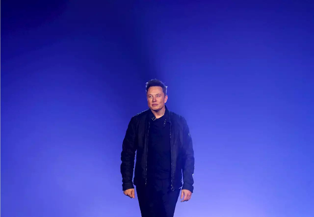 Free speech matters – but Elon Musk doesn’t really care about it