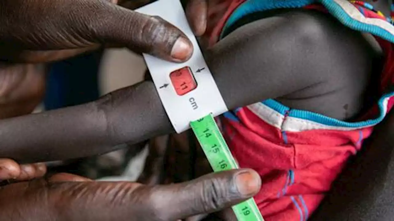 Millions of people on the verge of hunger in South Sudan