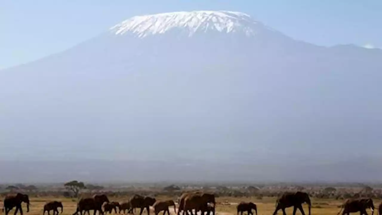 UN warns glaciers in Yosemite, Kilimanjaro, Dolomites will vanish by 2050