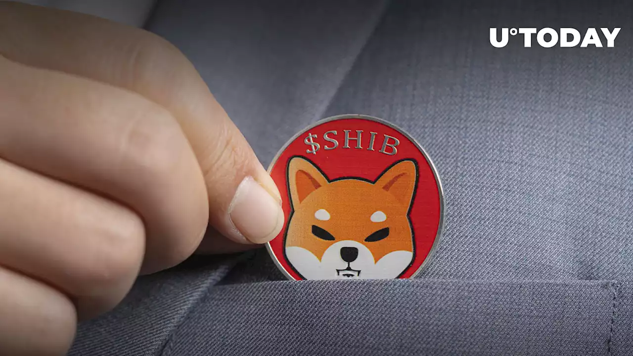 Hundreds of Billions of SHIB Moved as This Influencer Announces Support for Shiba