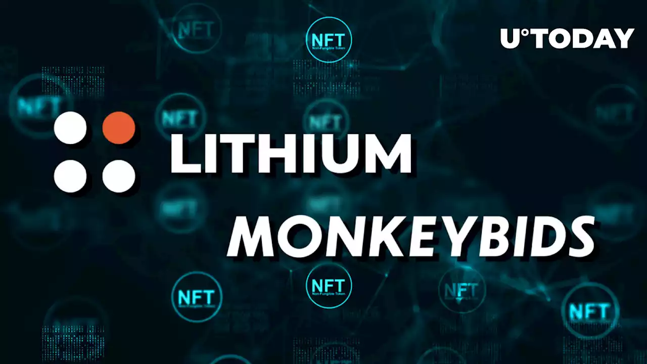 Lithium Finance Partners with MonkeyBids for Better NFT Valuation