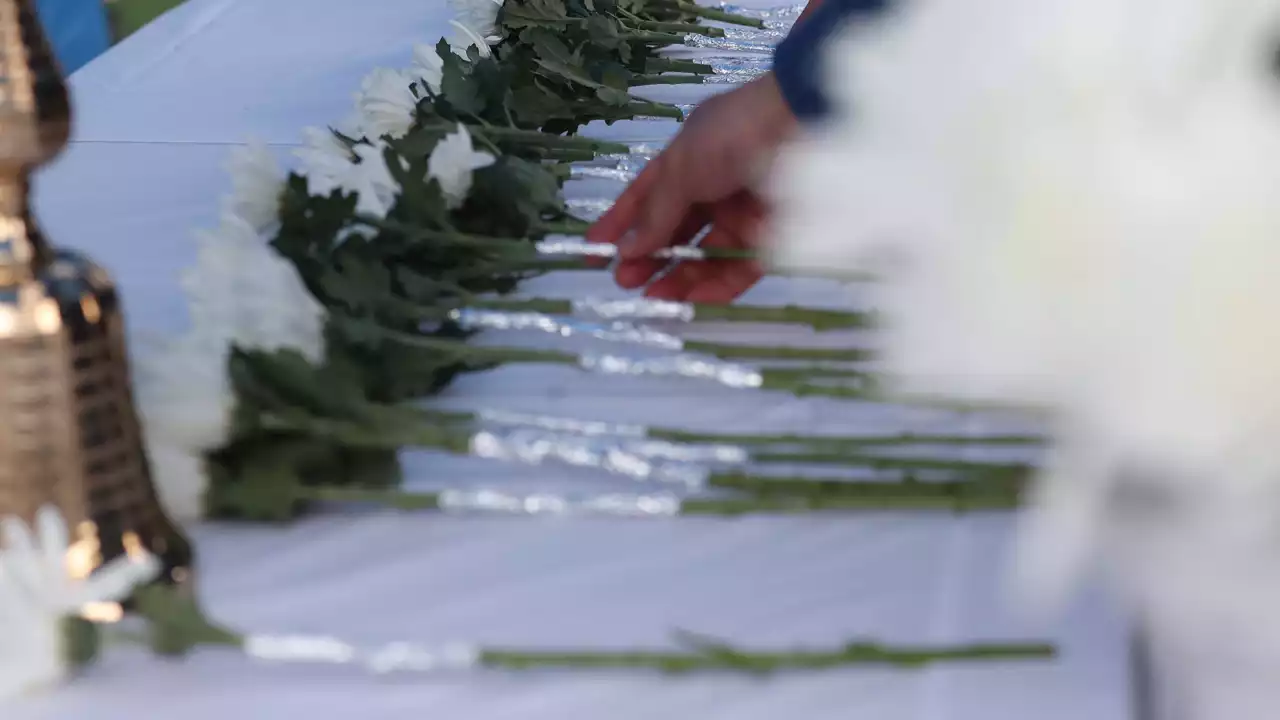 20대 희생자만 104명...친구 잃은 슬픔에 대학가도 추모 물결