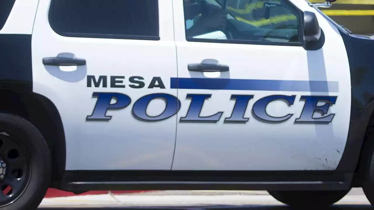 Man fatally shot by Mesa officers after hitting patrol vehicle