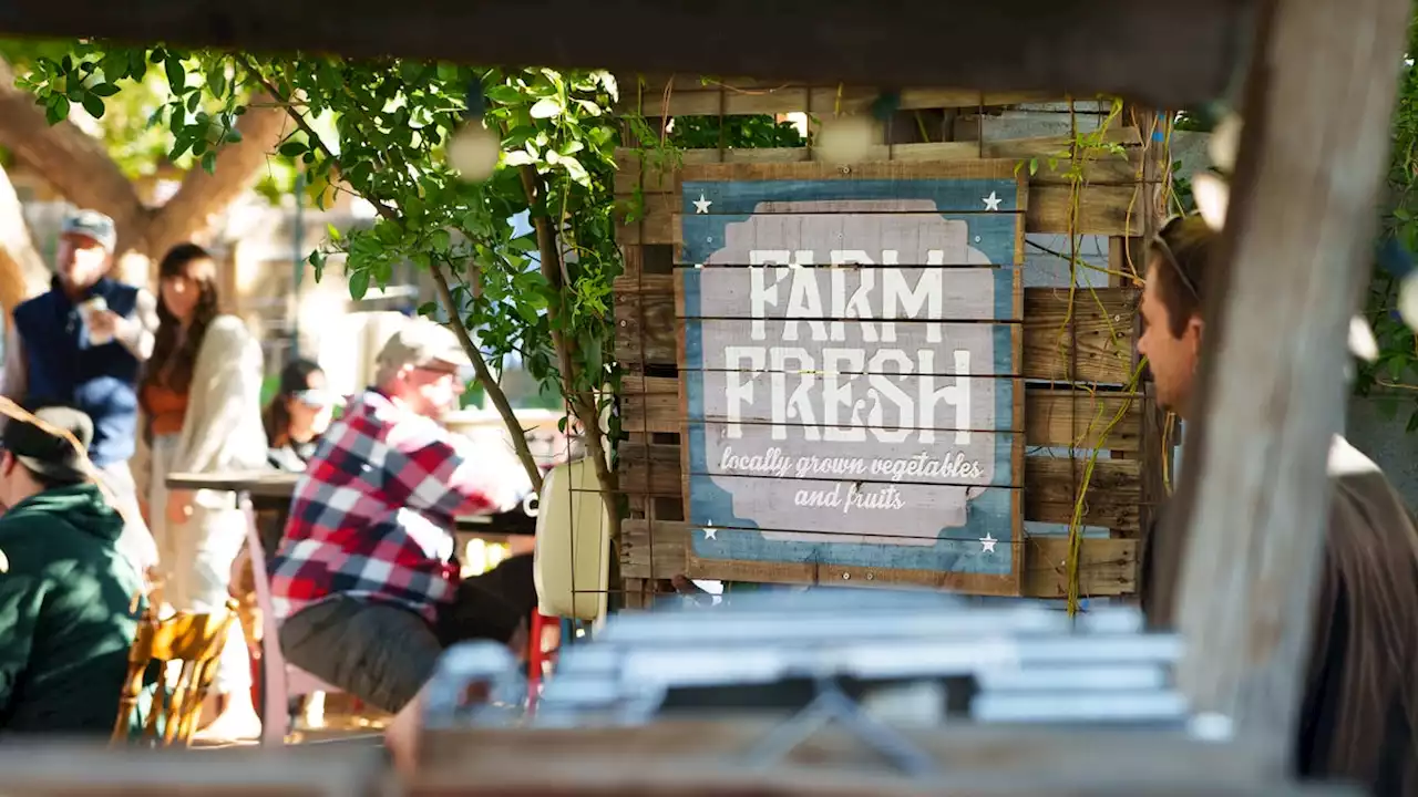 Welcome to the Birts' backyard: Inside the family garden turned farm stand