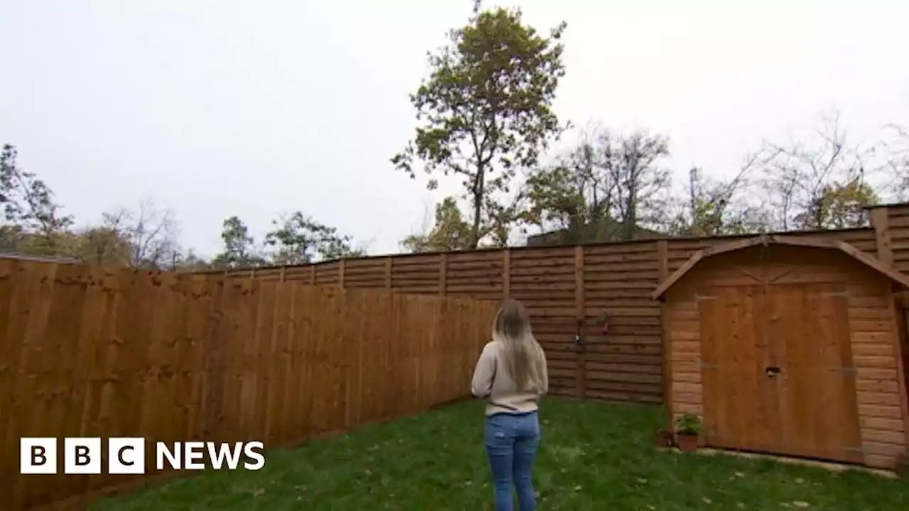 Anger as mature trees felled along Nottinghamshire rail route