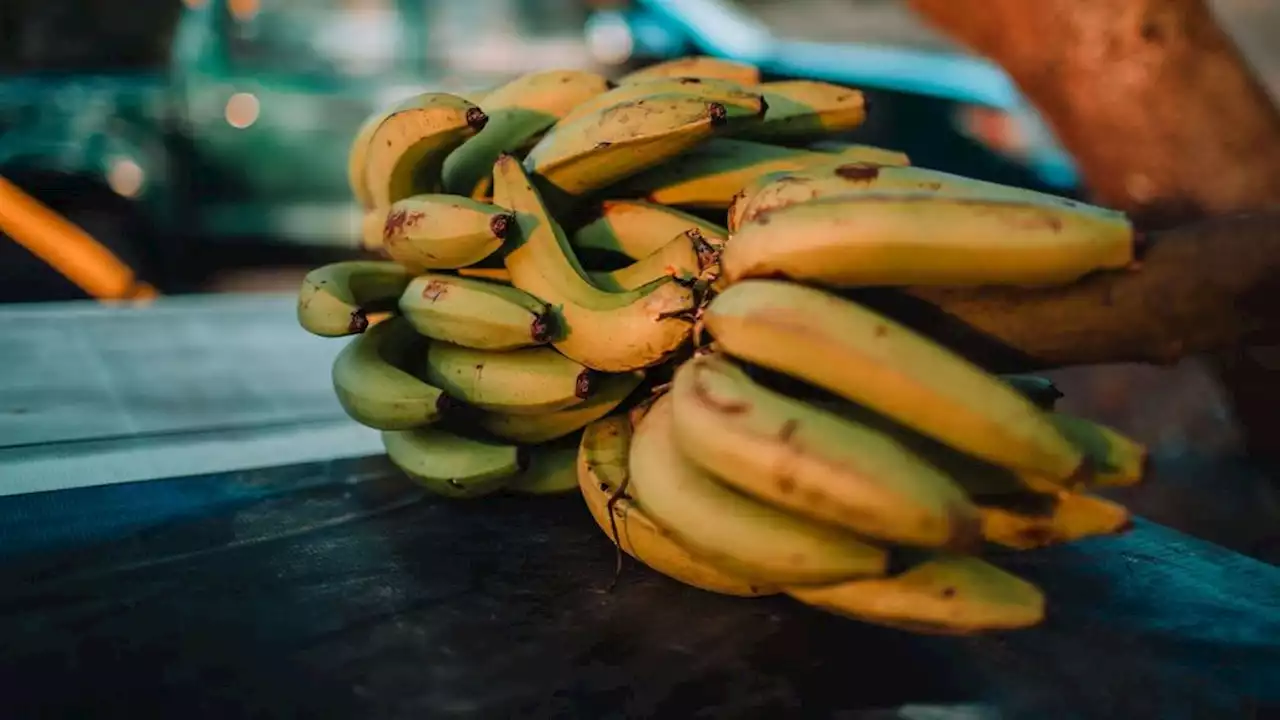 Une de leurs bananes présente une étrange bosse, ce qui en sort dépasse l'entendement