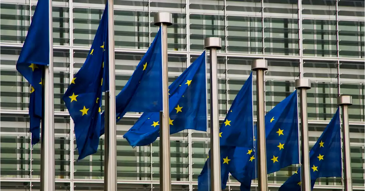 EU Crypto, NFT Providers Must Report Tax Details Under Leaked EU Plan