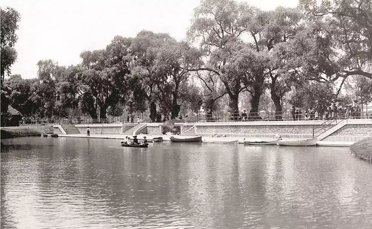 Esta es la historia del Lago de Chapultepec y las otras veces que murieron masivamente peces