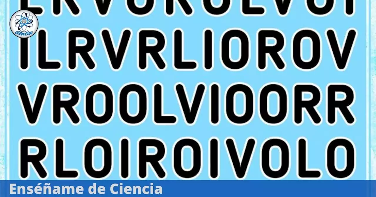 El 97% falló en encontrar la palabra “LIVRO” y el ERROR en el acertijo visual