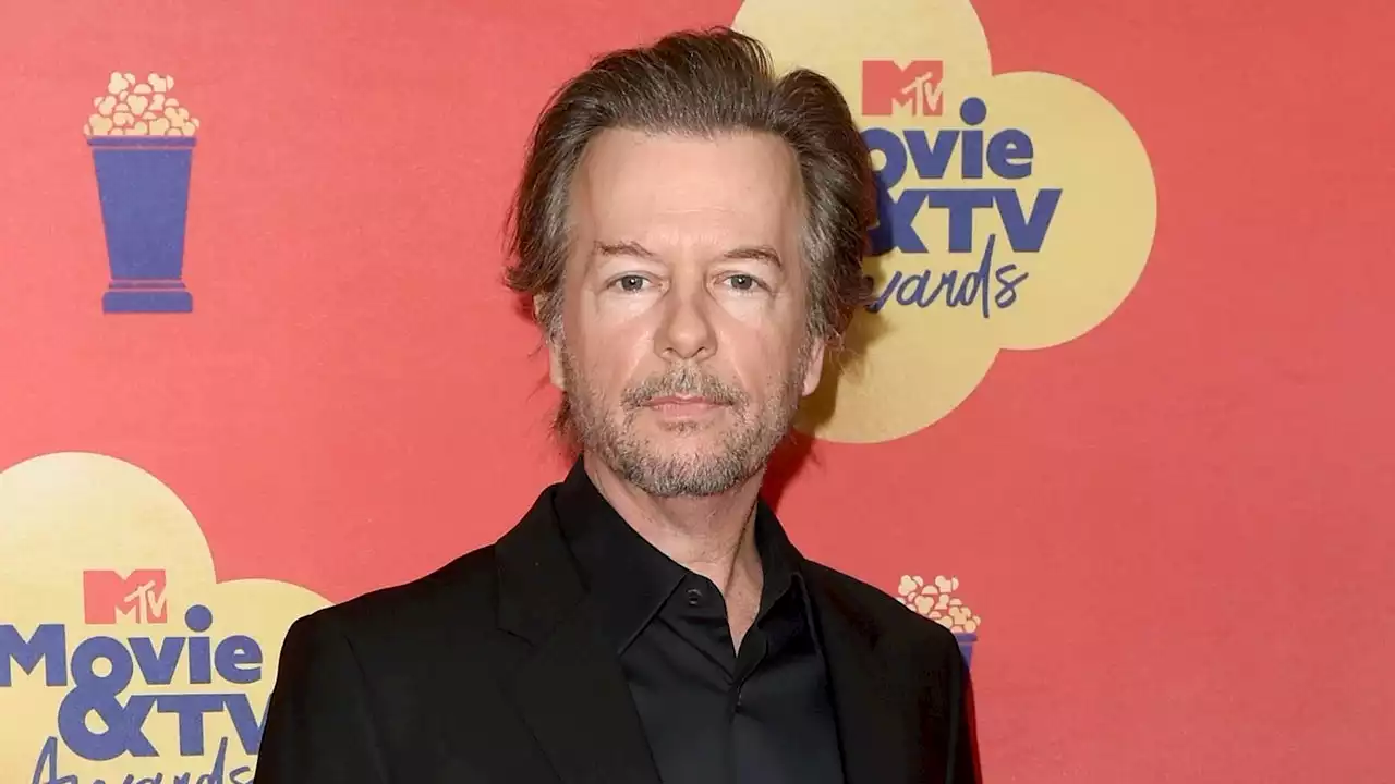 David Spade to Play Himself in Fox's 'HouseBroken': Watch a Sneak Peek