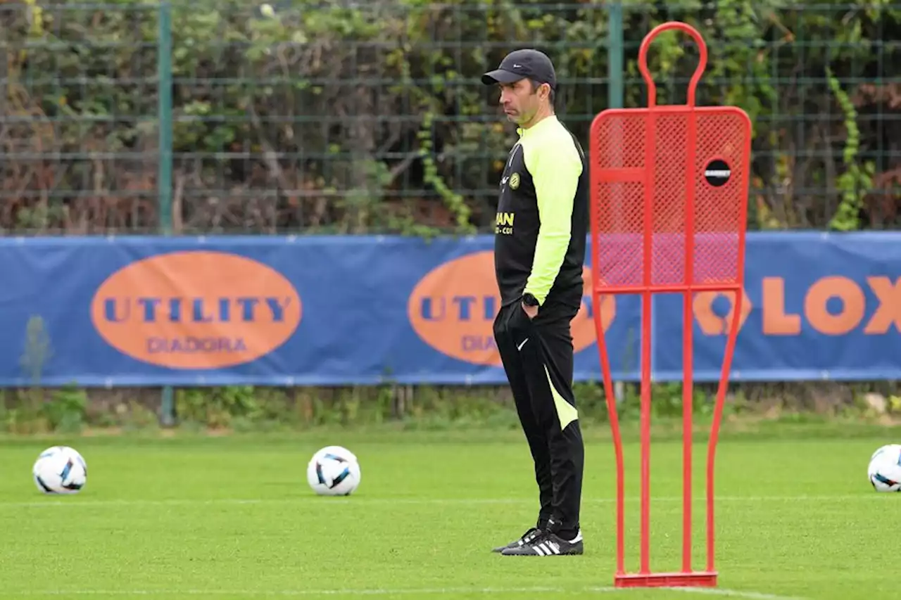 Ligue 1 : l'entraîneur de Montpellier Romain Pitau sur la touche pour cause de Covid-19