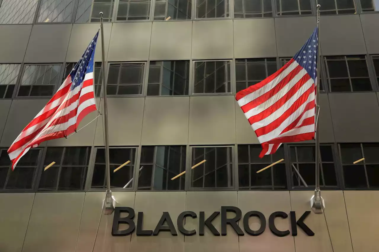 BlackRock backs banks, cuts European, EM debt as part of ‘new playbook’ for 2023