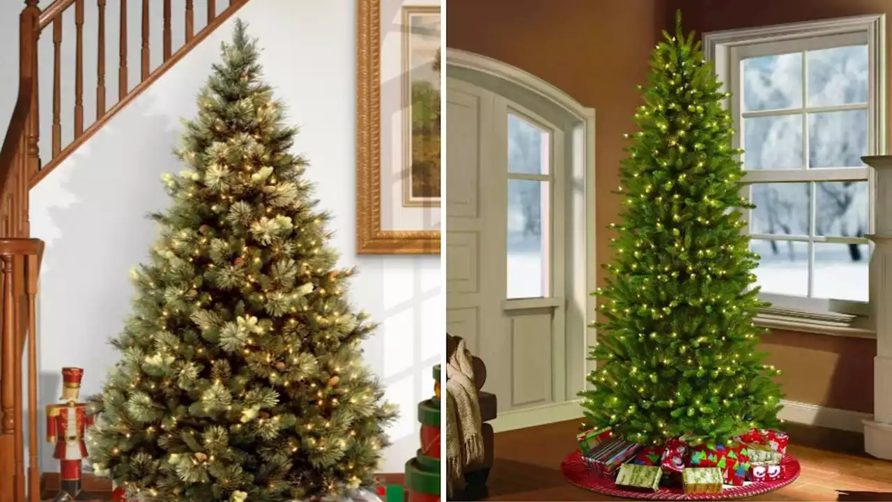 7 cut-price Christmas tree deals this holiday season