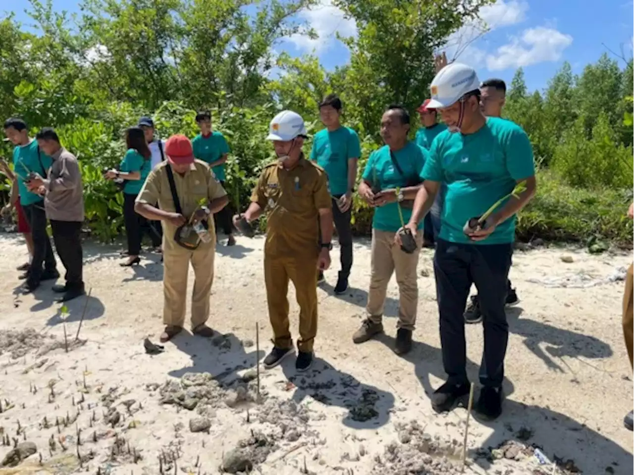 PLN UID Sumut Lakukan Penanaman 15.000 Bibit Mangrove dan Sebar 100 Ribu Bibit Udang dan Kepiting