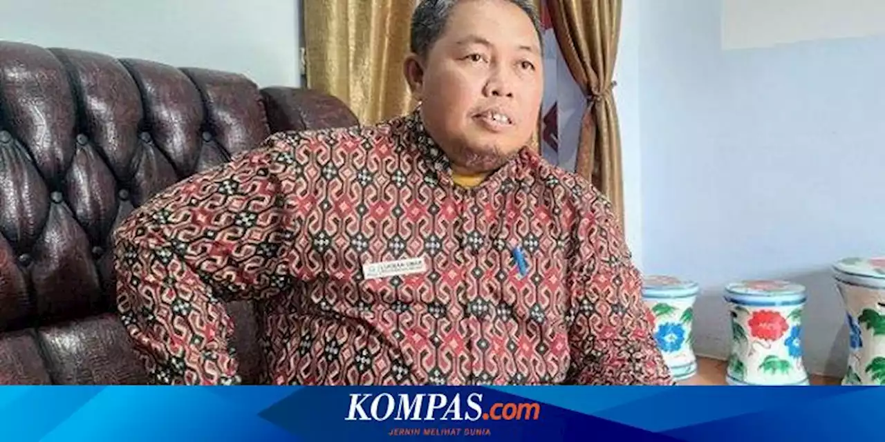 Respons Kepala Ombudsman Sulbar Usai Diberhentikan karena Terima Beasiswa Manakarra