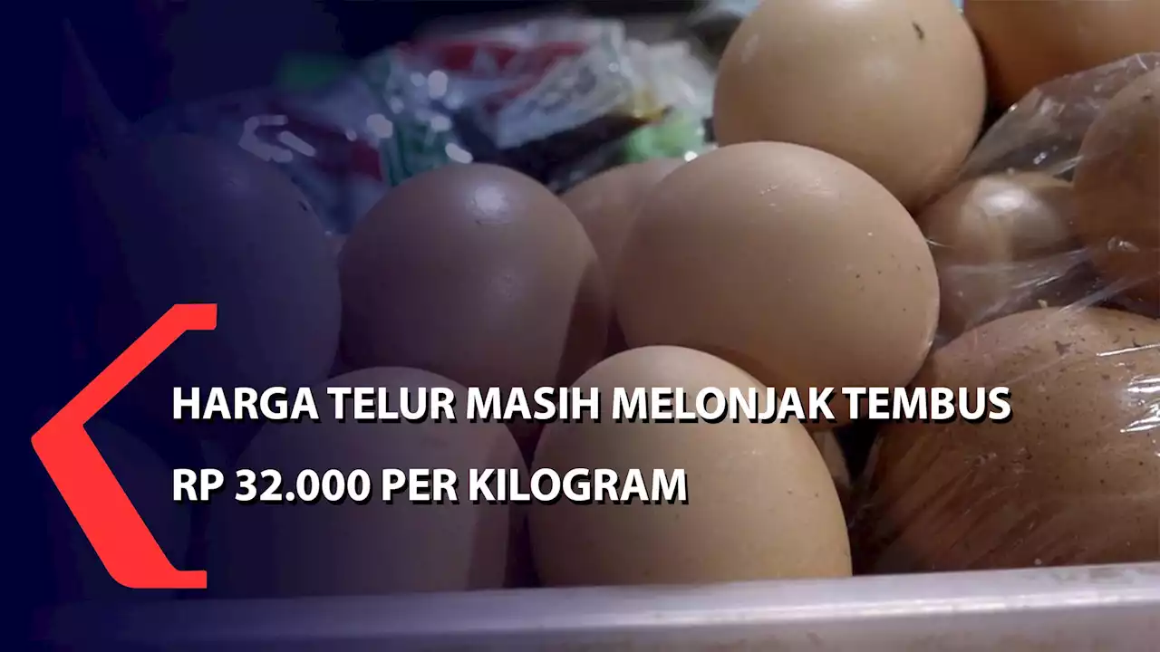 Harga Telur Masih Melonjak Tembus Rp 32.000 Perkilogram