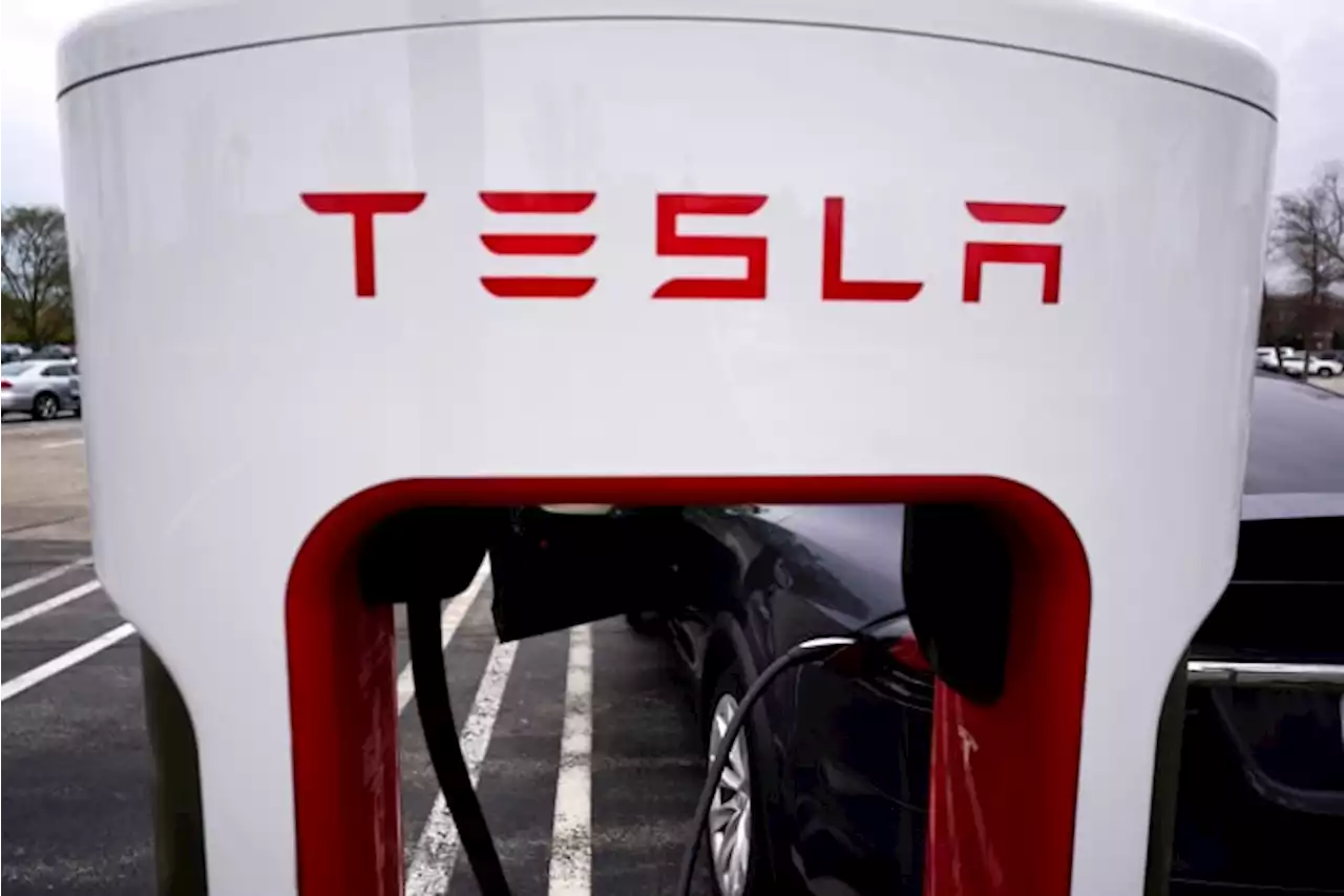 Competitors chip away at Tesla's US electric vehicle share