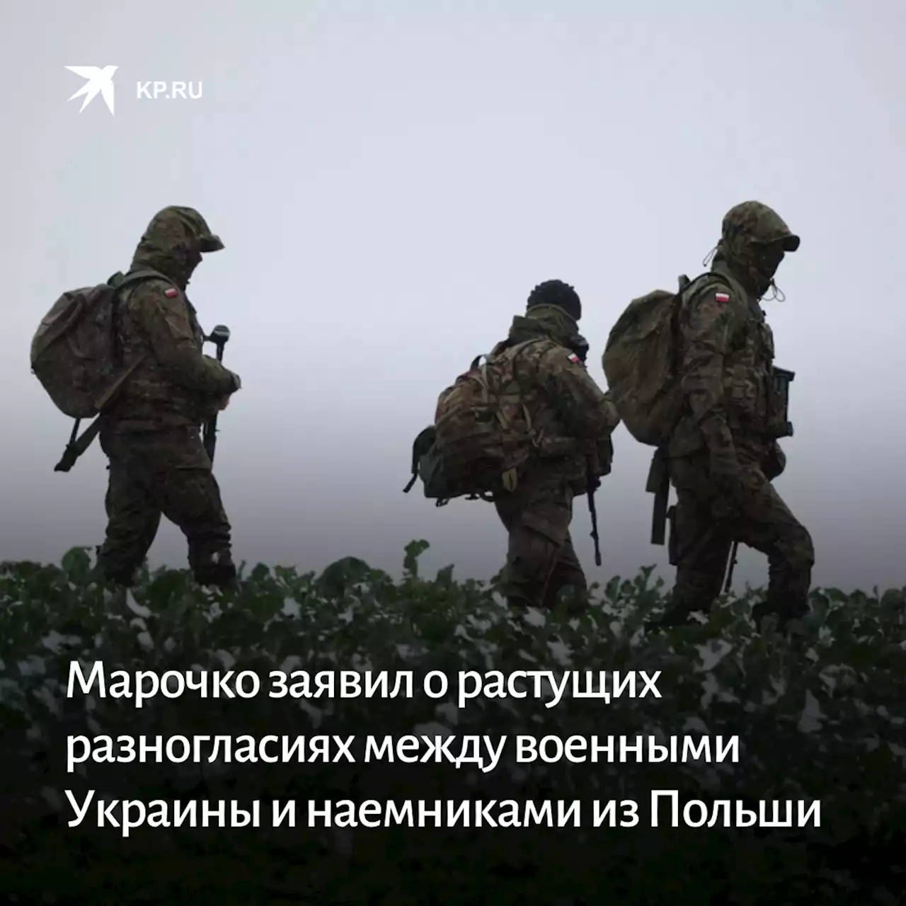 Марочко заявил о растущих разногласиях между военными Украины и наемниками из Польши