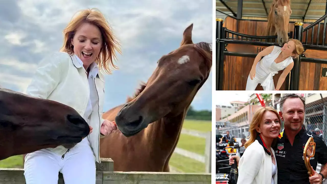 Geri Halliwell's neighbours claim that the Spice Girl's new horse barn is knocking out the village phone signal