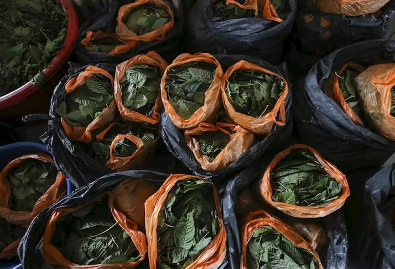 Cops seize 243kg ketum leaves with arrest of man at Kuala Lumpur-Karak Highway