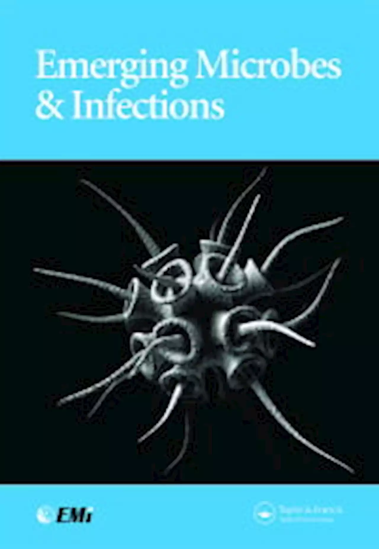 Determinants of fluconazole resistance and echinocandin tolerance in C. parapsilosis isolates causing a large clonal candidemia outbreak among COVID-19 patients in a Brazilian ICU