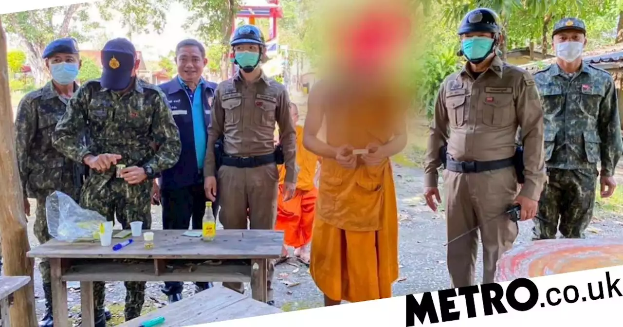 Every monk at Buddhist temple tested positive for drugs and is now in rehab