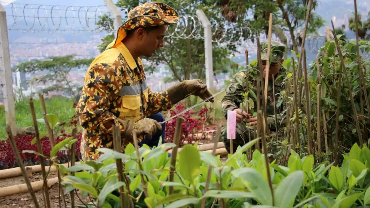 Estos son los jardines que Medellín intervendrá hoy | Minuto30