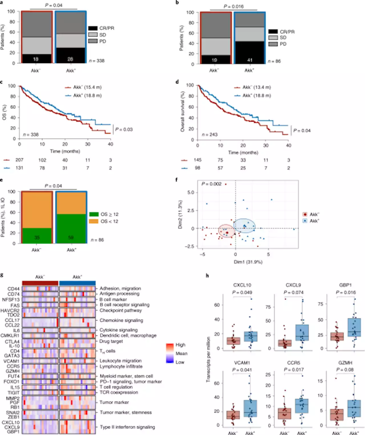 Intestinal Akkermansia muciniphila predicts clinical response to PD-1 blockade in patients with advanced non-small-cell lung cancer - Nature Medicine