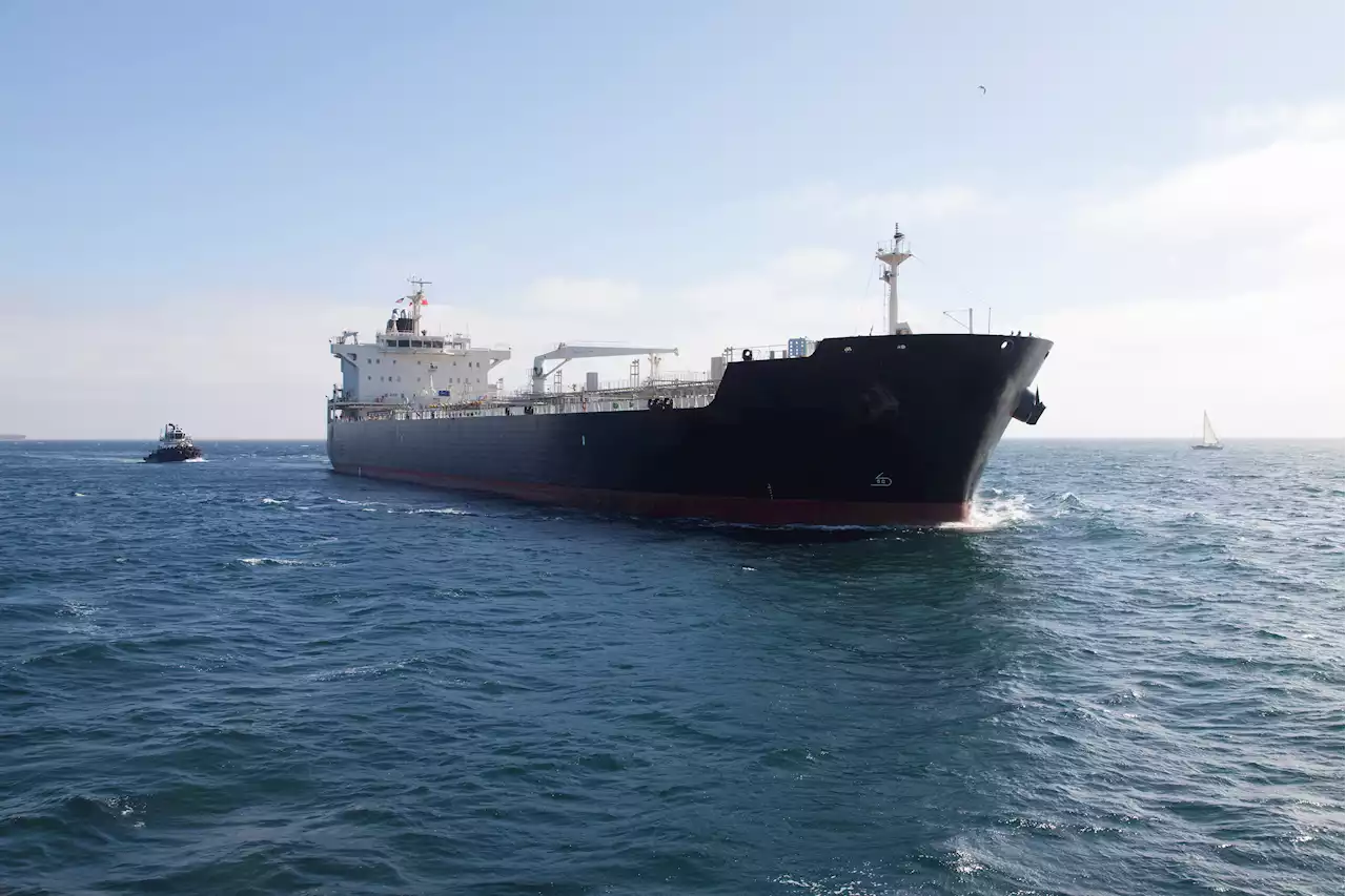 3 Stowaways Found on Ship's Rudder After 11-Day Ocean Voyage