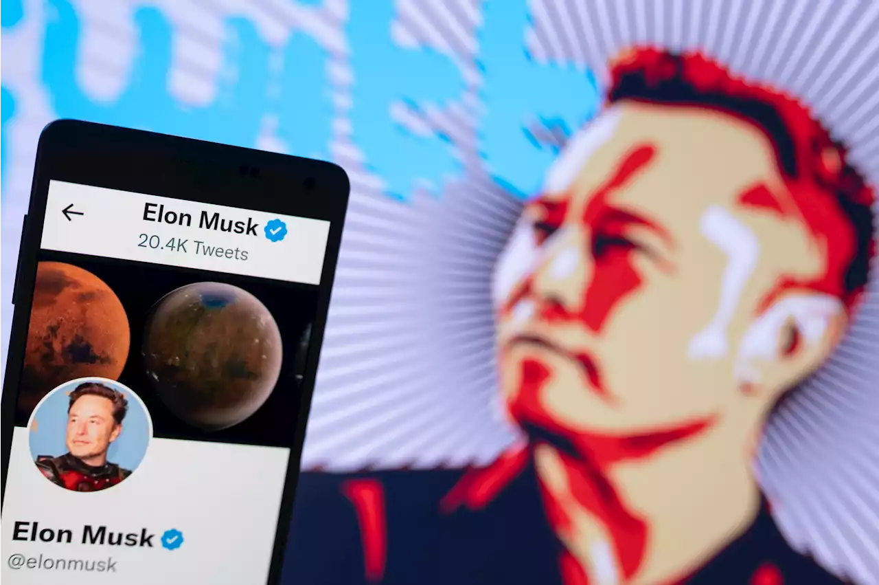 Twitter Stops Policing Covid-19 Misinformation Under CEO Elon Musk