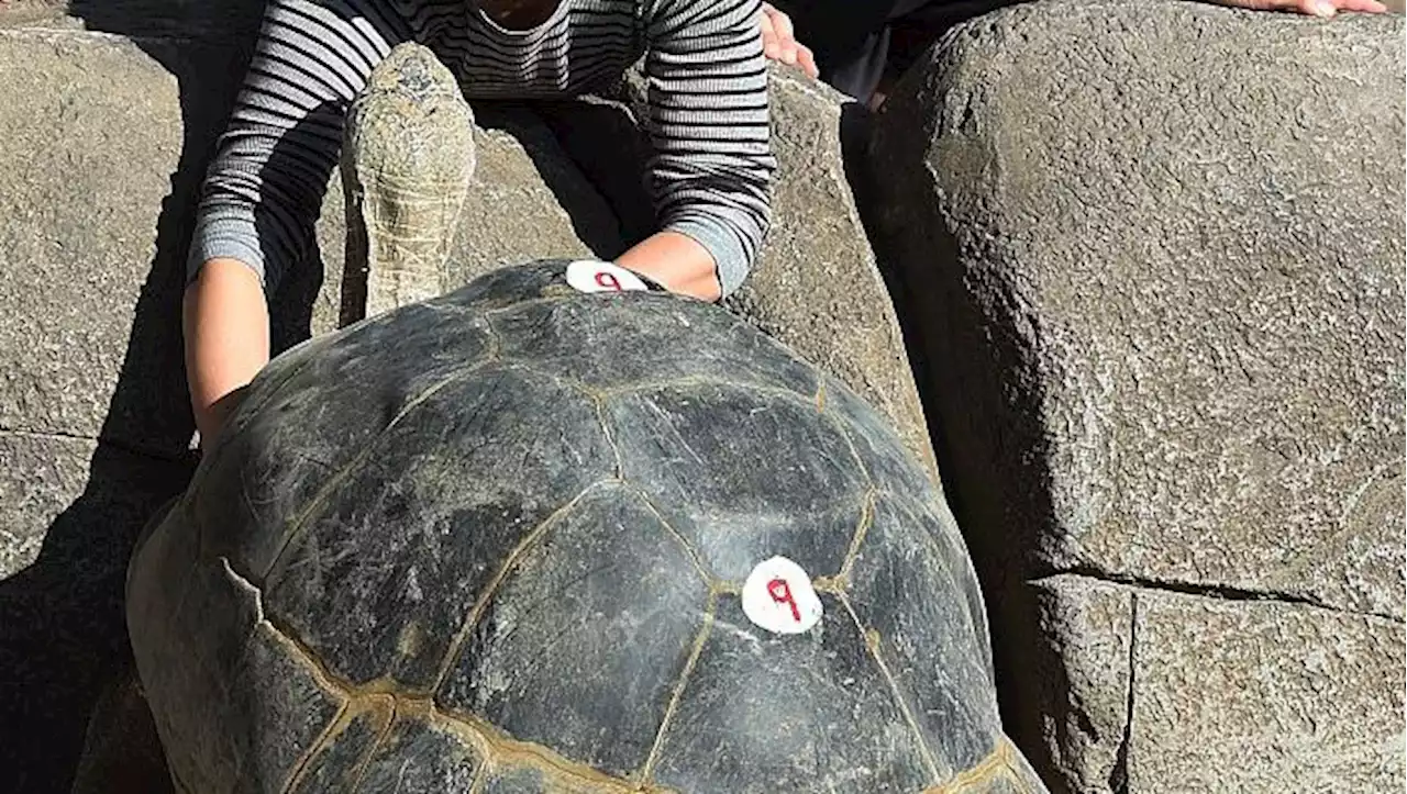 San Diego's Galapagos Grandma Celebrates 138th Birthday