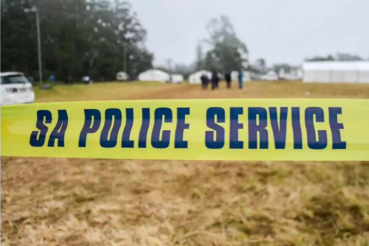 Police kill two suspects, arrest six linked to murder of 84-year-old Greytown man | News24