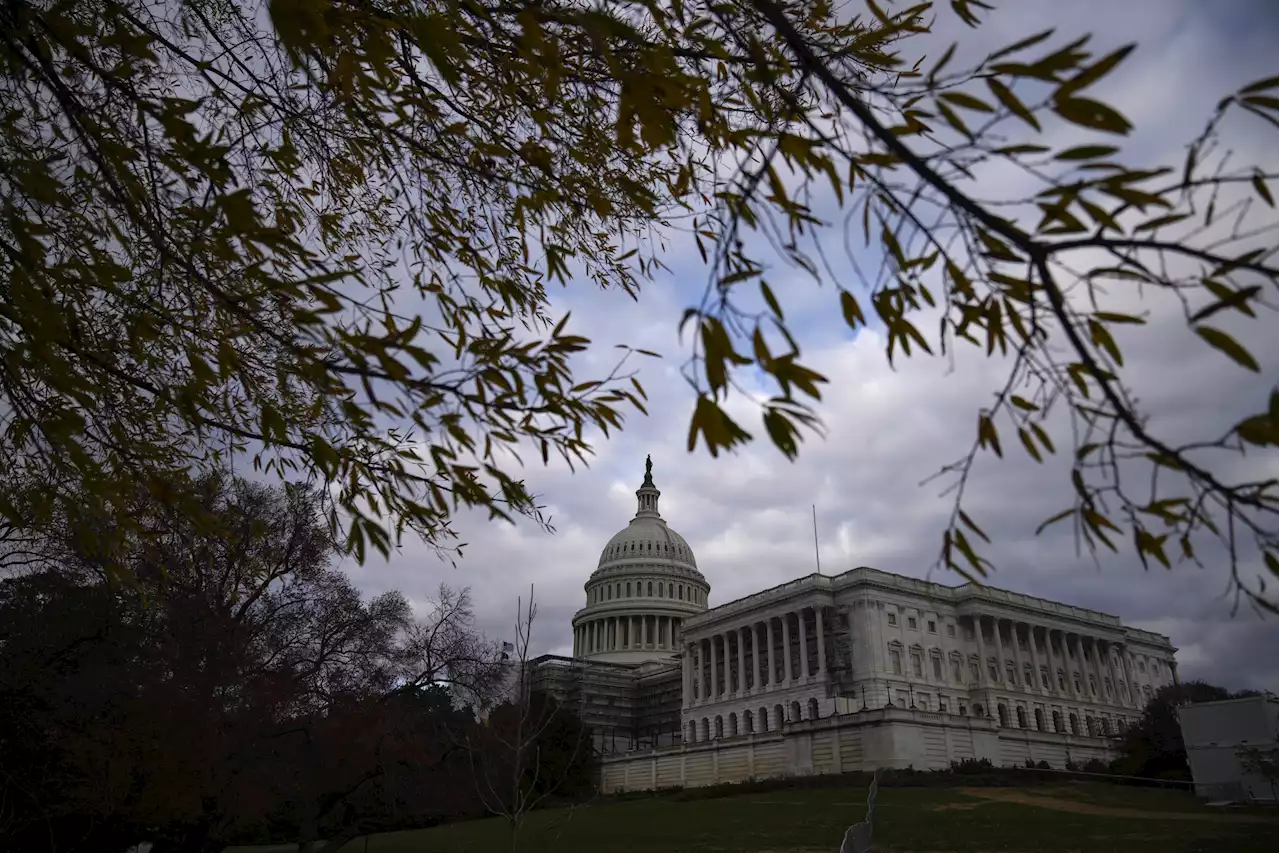 Senate Votes on Same-Sex Marriage Bill Live: Bill passes 61-36