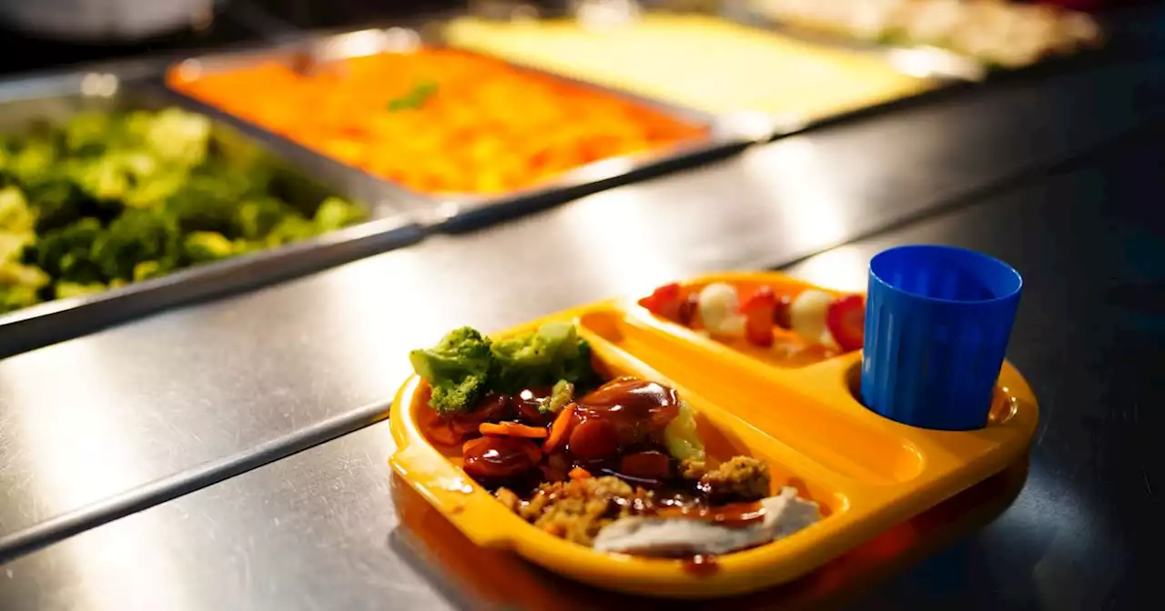 Checks to be carried out on school meals to ensure standards