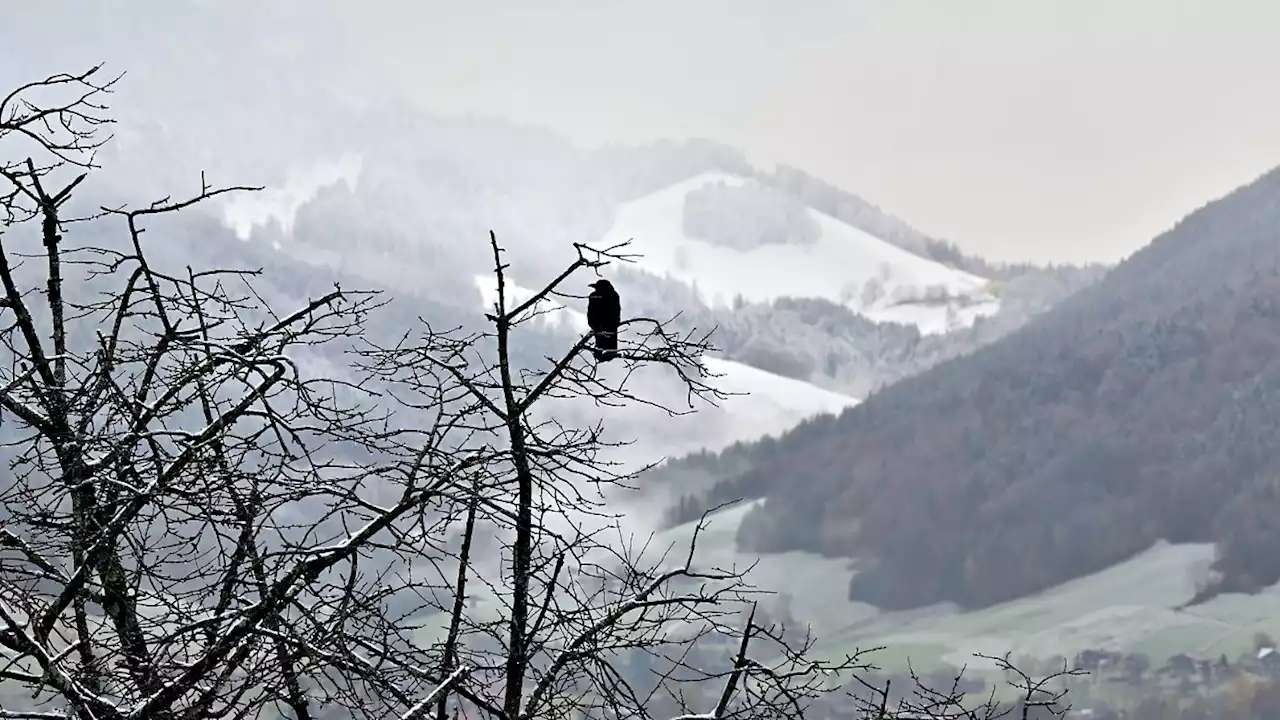 Der Dezember wird wohl zu trocken für weiße Weihnacht