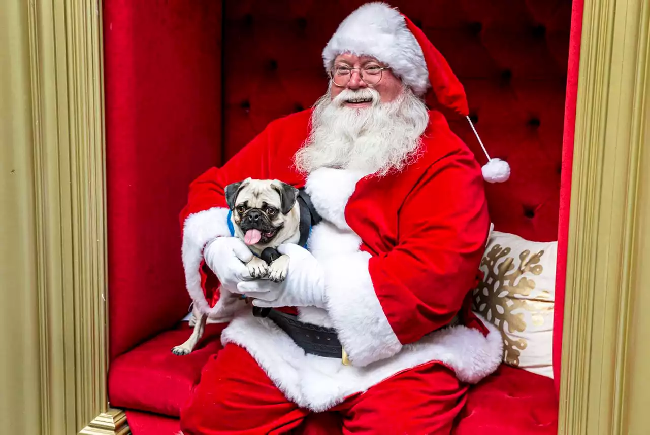 Santa’s schedule; Penn State law schools; World Cup: Good Morning, Pennsylvania