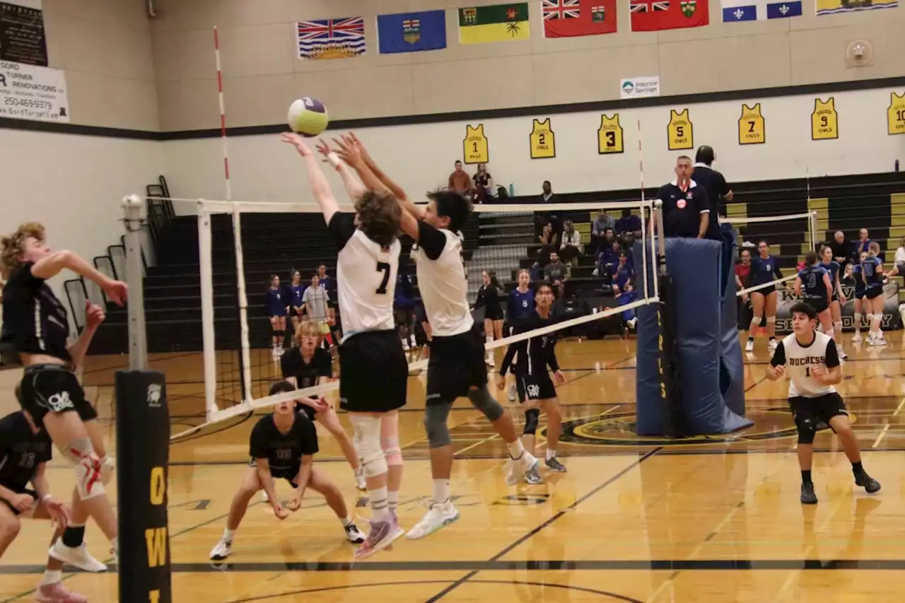 Duchess Park boys top-seeded in double-A volleyball provincials