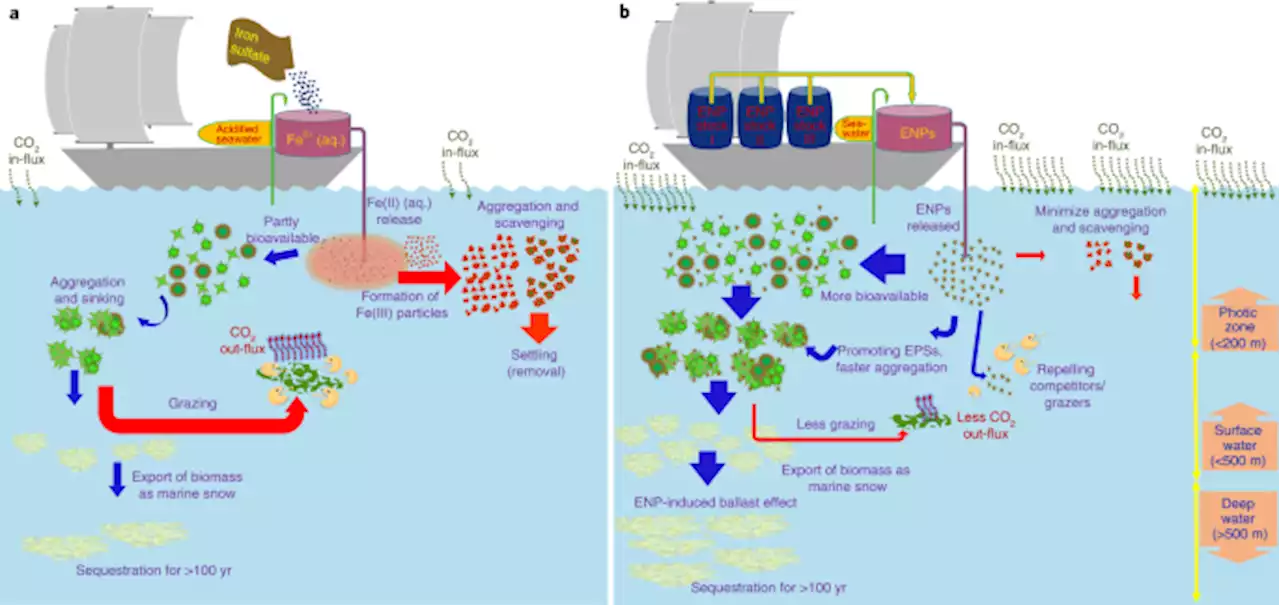 Potential use of engineered nanoparticles in ocean fertilization for large-scale atmospheric carbon dioxide removal - Nature Nanotechnology