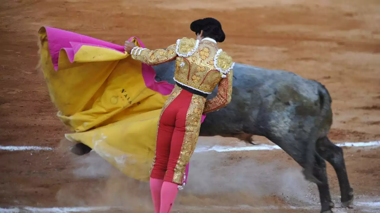 Plaza de Toros canceló la Temporada Grande 2022-2023