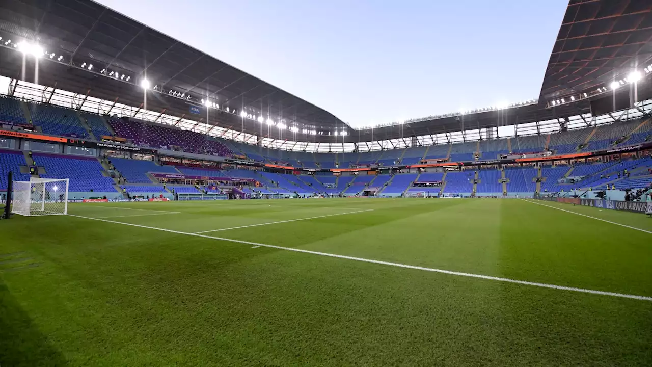 Coupe du monde 2022: inquiétude sur la pelouse du stade de Pologne-Argentine