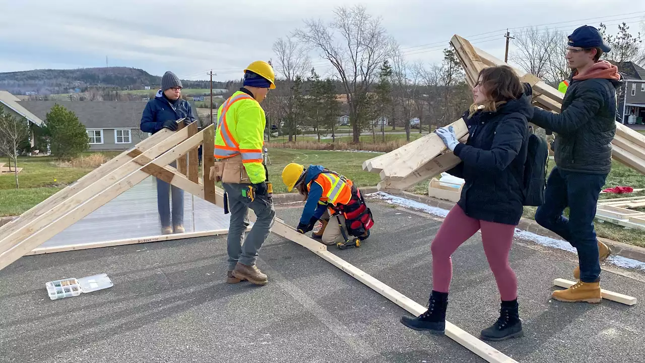 Enactus members construct greenhouse for Riverview residents | SaltWire