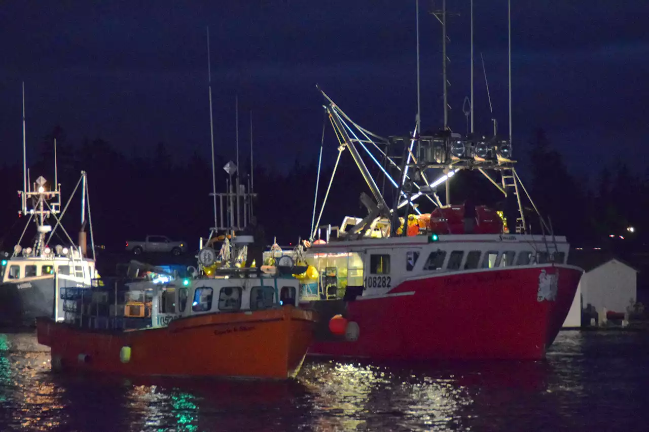 Split start to southwestern Nova Scotia lobster fishery | SaltWire