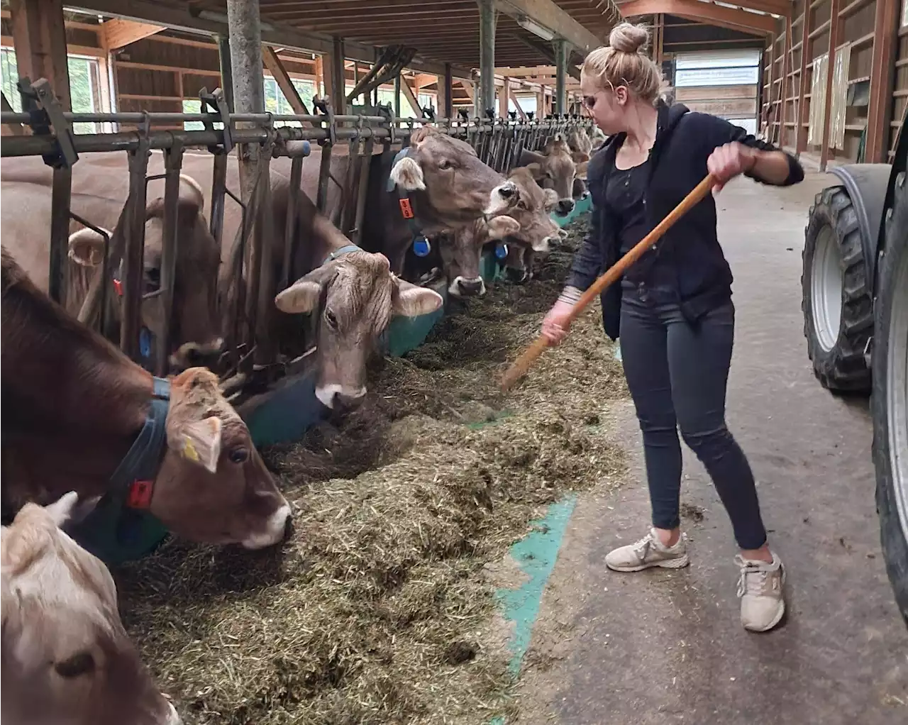 «Meine Liebe für Braunvieh weitergeben» - Schweizer Bauer