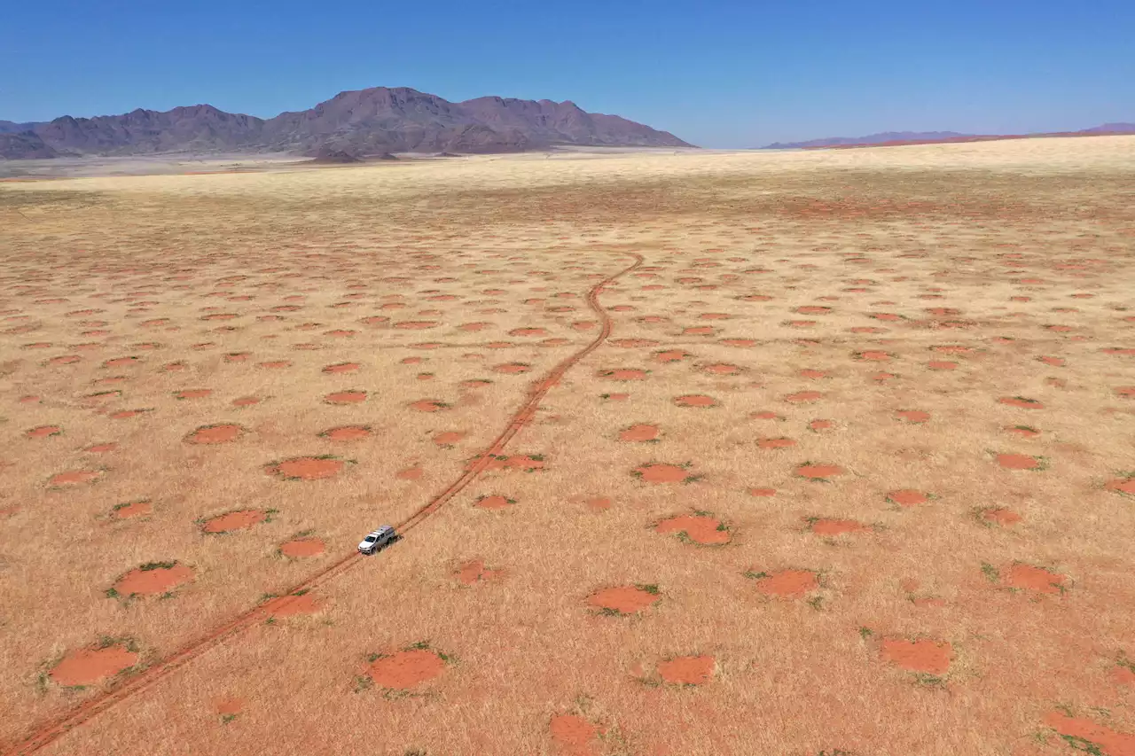 Puzzling Scientists for Nearly 50 Years: Mystery of Namibia’s Fairy Circles Finally Solved