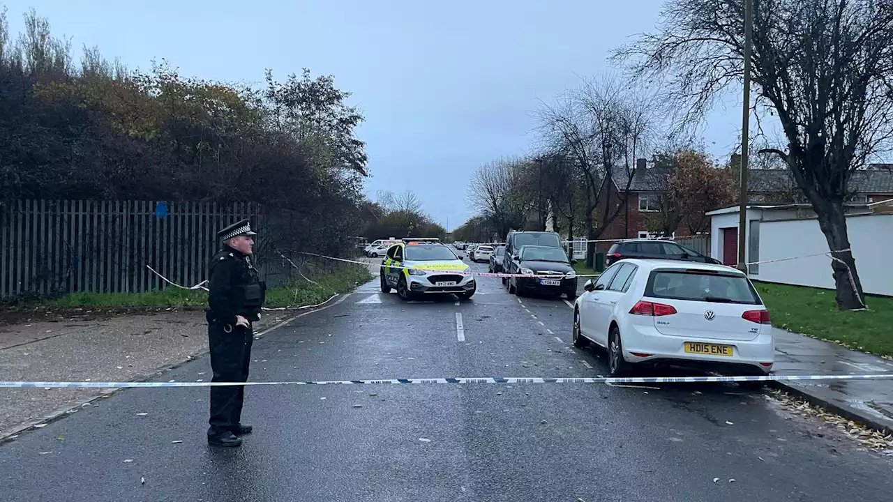 Two more teenagers arrested over fatal stabbings of Charlie Bartolo and Kearne Solanke in southeast London