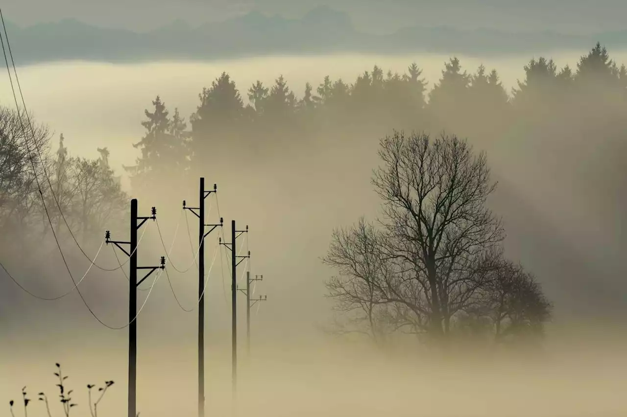 Électricité : les préfets priés d’anticiper d’éventuelles coupures, qui serait concerné ?