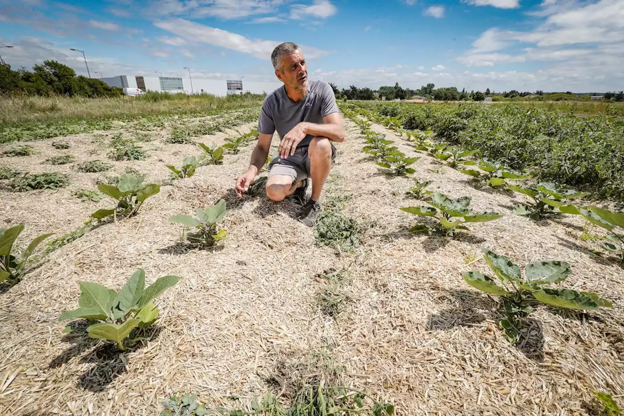 Sécheresse dans le Sud-Ouest : une situation qui pose les enjeux de la future gestion de l’eau