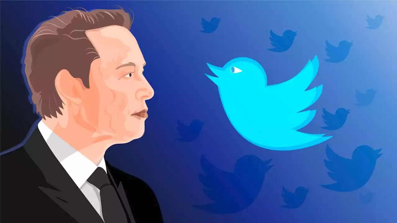 Twitter 2.0 strategy is broken because Elon Musk still doesn't understand Twitter