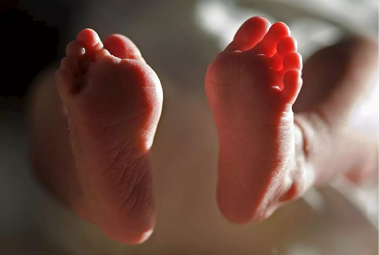 Number of births rises for first time in a decade but more women waiting longer